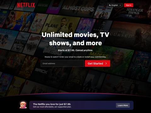 Netflix（奈飞 | 美国）